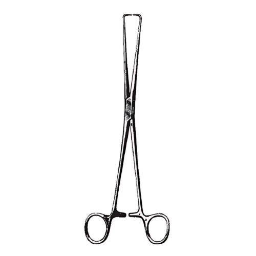 REDA Braun Tenaculum Forceps – 25 cm / 10"